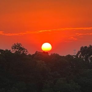 Meet your Posher, Xutong